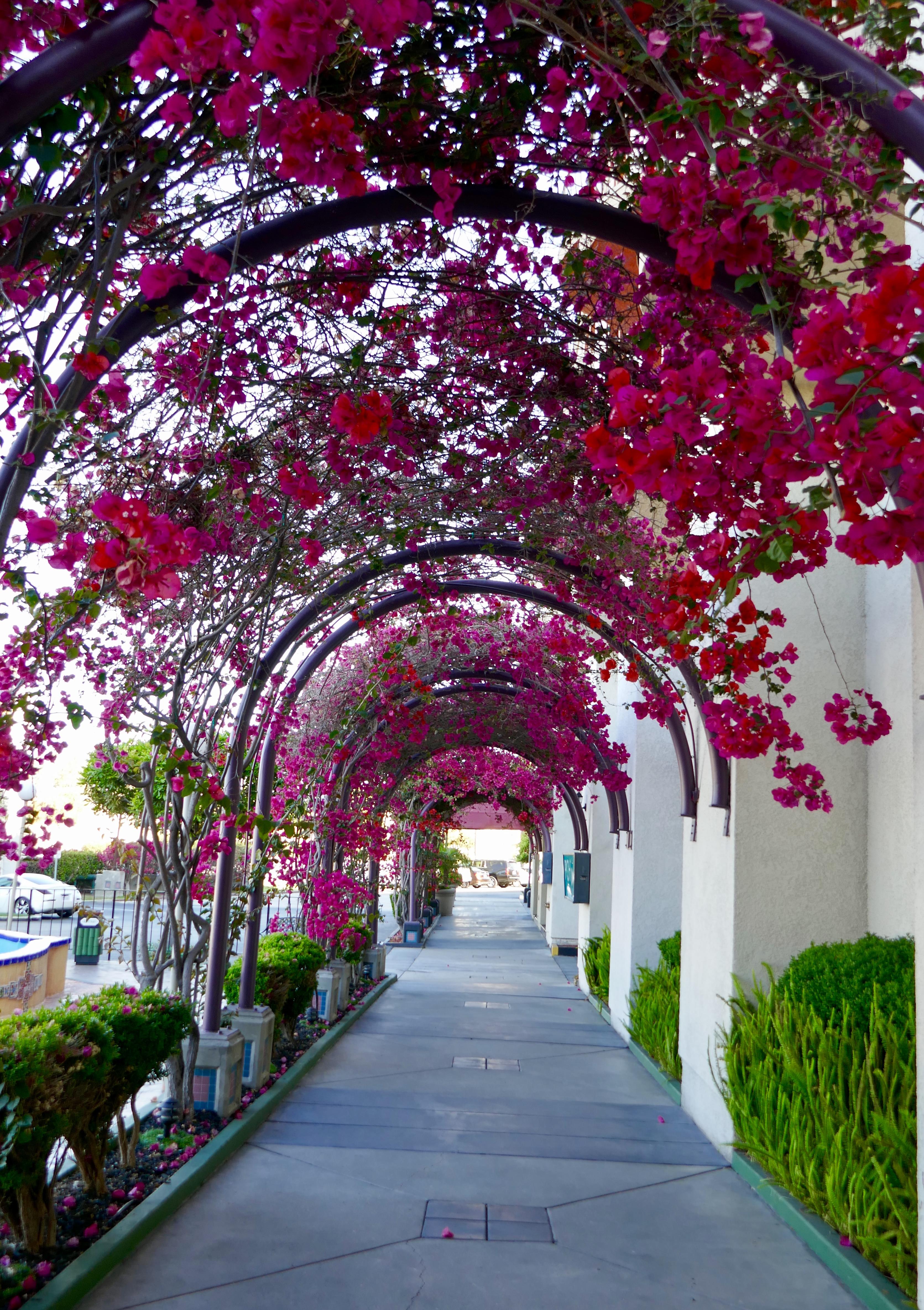 Best Western Golden Sails Hotel Long Beach Buitenkant foto